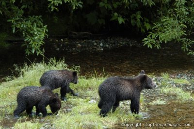 DSC_0047ca072406b.jpg