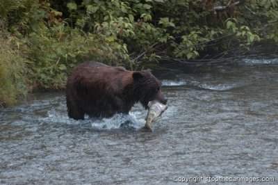 DSC_0049ca072306bc.jpg