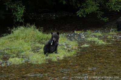 DSC_0049ca072406b.jpg