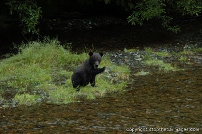 DSC_0050ca072406b.jpg