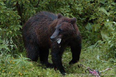 DSC_0069ca072506a.jpg