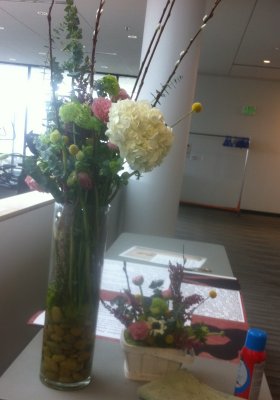 IMG_0525.JPG
