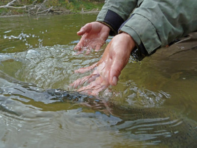 released