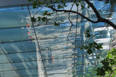 Reflections on Sacramento Street5146cr