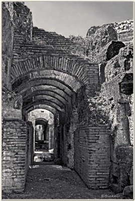 Colosseum Underground 