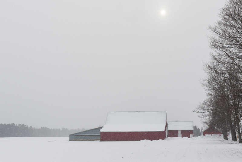A dull gray day in the valley
