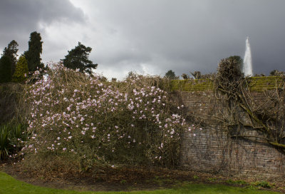 17769_Arley Arboretum.jpg