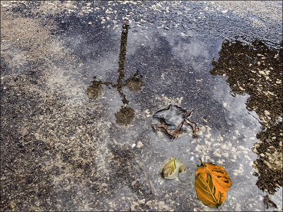 Abstract from Flooded Path.jpg