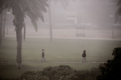 Unusual Fog this morning