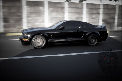 mr27.jpg