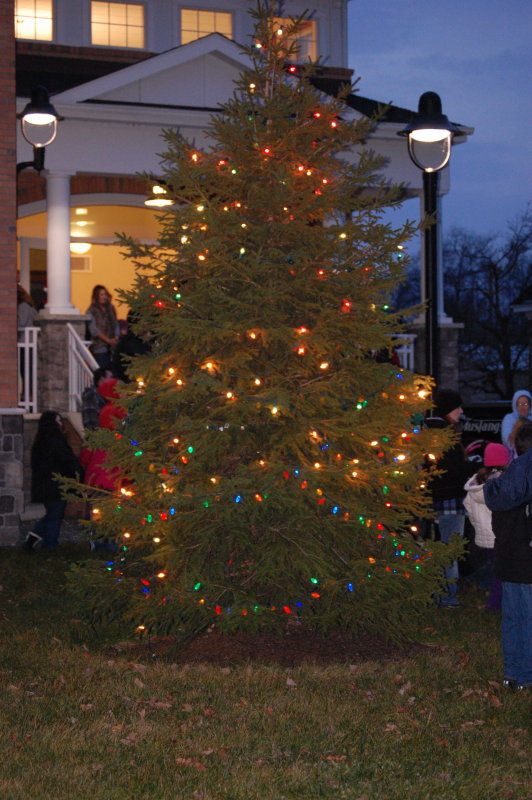 Holiday Lights