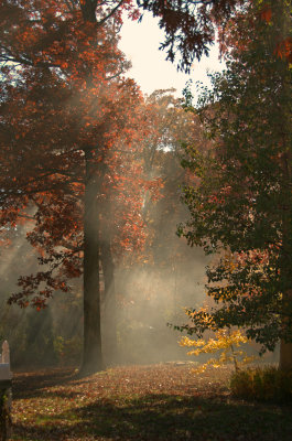 Fragrant Fall Day