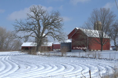 Winter crop and barn