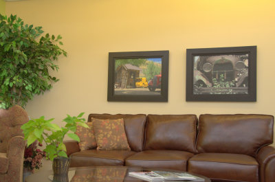 Arizona Pair framed on display at Sofa Solutions