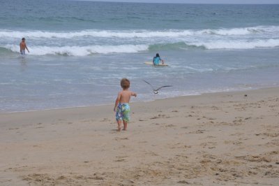 DSC_1000_800x531.JPG