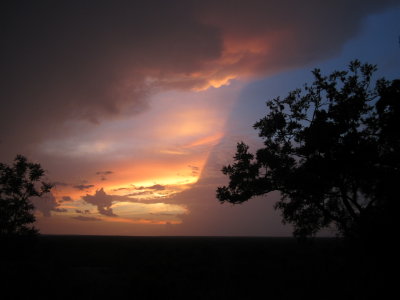 Stormy Sunset at Mole NP