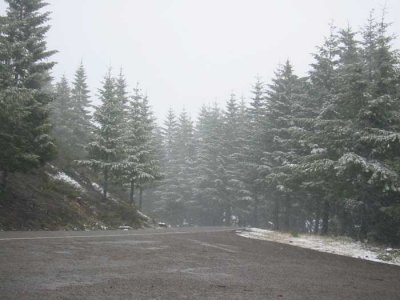 IMG_6710.jpg