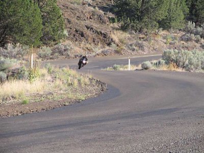 nobowl-rowe-creek-corner.jpg