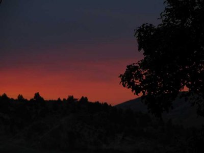 pink-sky-sat-night2.jpg