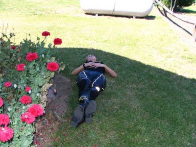 sas-crashed-out.jpg
