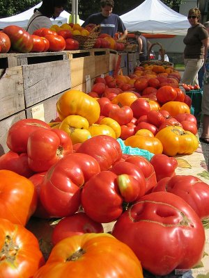 Farmer's Market Tomatoes