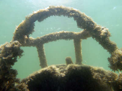 g2/93/329493/3/146968438.zXEC1dpj.jpg