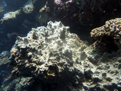 g2/93/329493/3/146980545.ZiP9uXX3.jpg