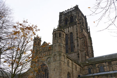 g2/93/329493/3/147849331.OsBBrMqW.jpg