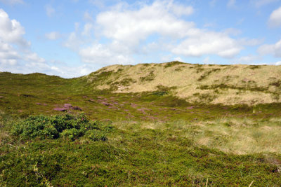 g2/93/329493/3/148301924.gAAWGaNR.jpg
