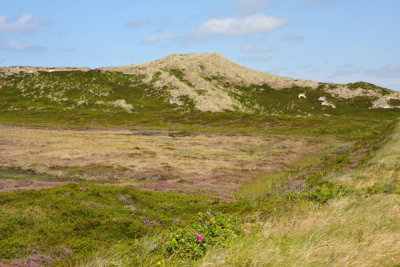 g2/93/329493/3/148302634.MGVXhl0v.jpg
