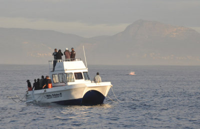 g2/93/329493/3/148384639.sBDVaJqV.jpg