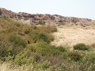Cliff of Head-Smashed-In Buffalo Jump