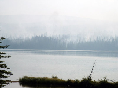 Forest Fire, Jasper National Park