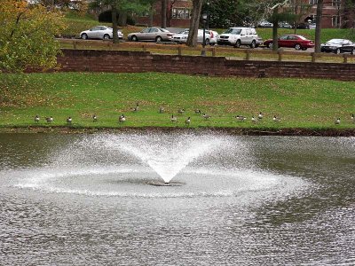 Pond Fountain