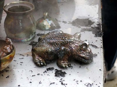 Cooling Frog