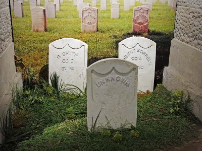 Military Graves