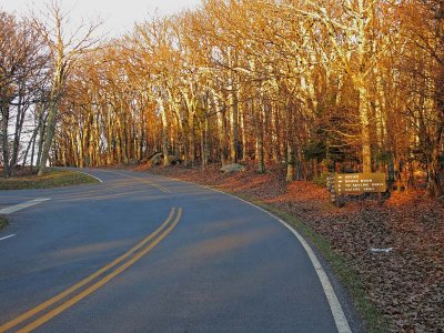 Skyland Drive