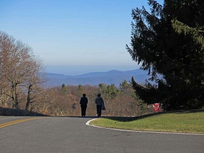 View from Drive