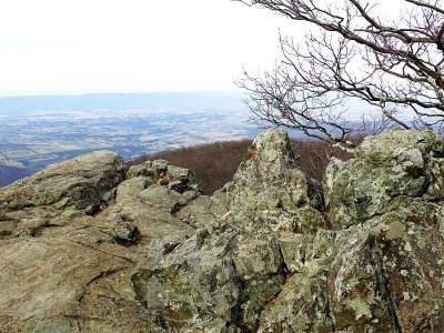 Rocky View