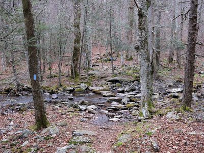 Stream Crossing