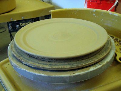 Plate - Just Thrown