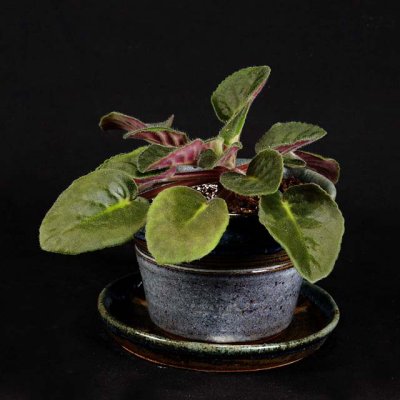 Pot #1 In Use