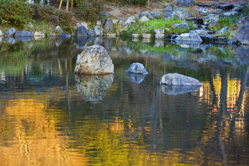 Zen Garden