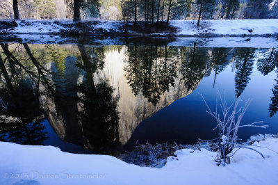 In The Icy Shadow