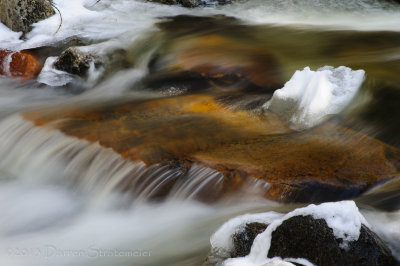 Frozen In Time