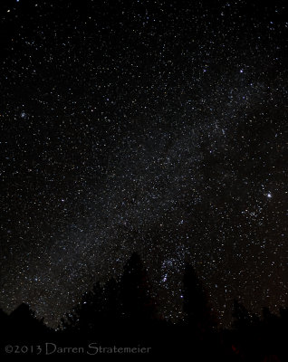 Stars Above the Trees