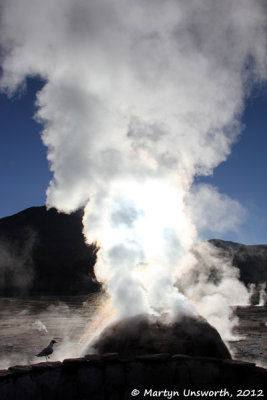 El Tatio geysers (Chile)