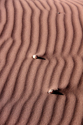 Atacama desert