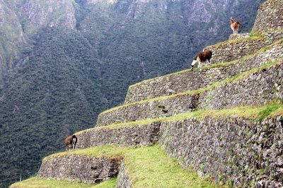 Day 3 : Intipata