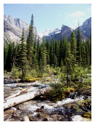 Stream near Moraine Lake
